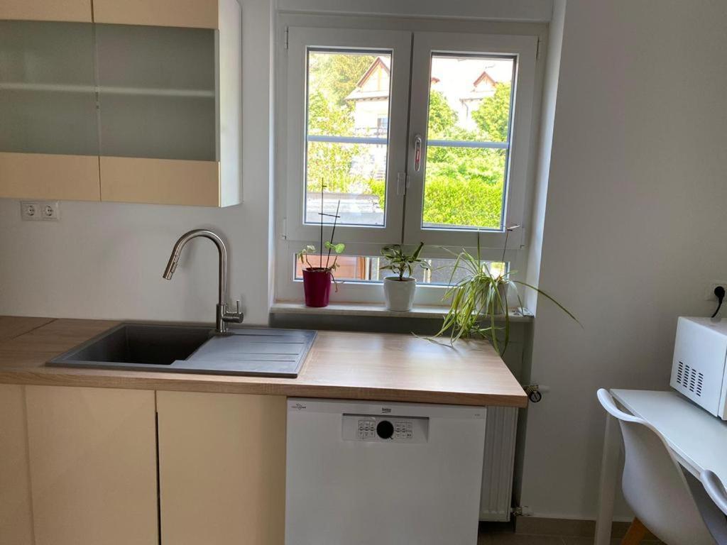 Ferienwohnung Diana Und Manuel Weinheim Bagian luar foto